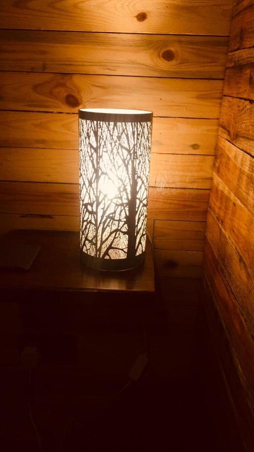 Sunset Cabin Молд Экстерьер фото